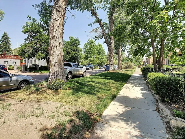 a view of a park with bench and trees