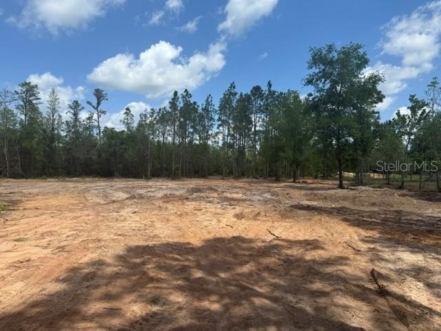 6123 Oil Well Road Clermont, FL 34714 - Photo 3 of 5