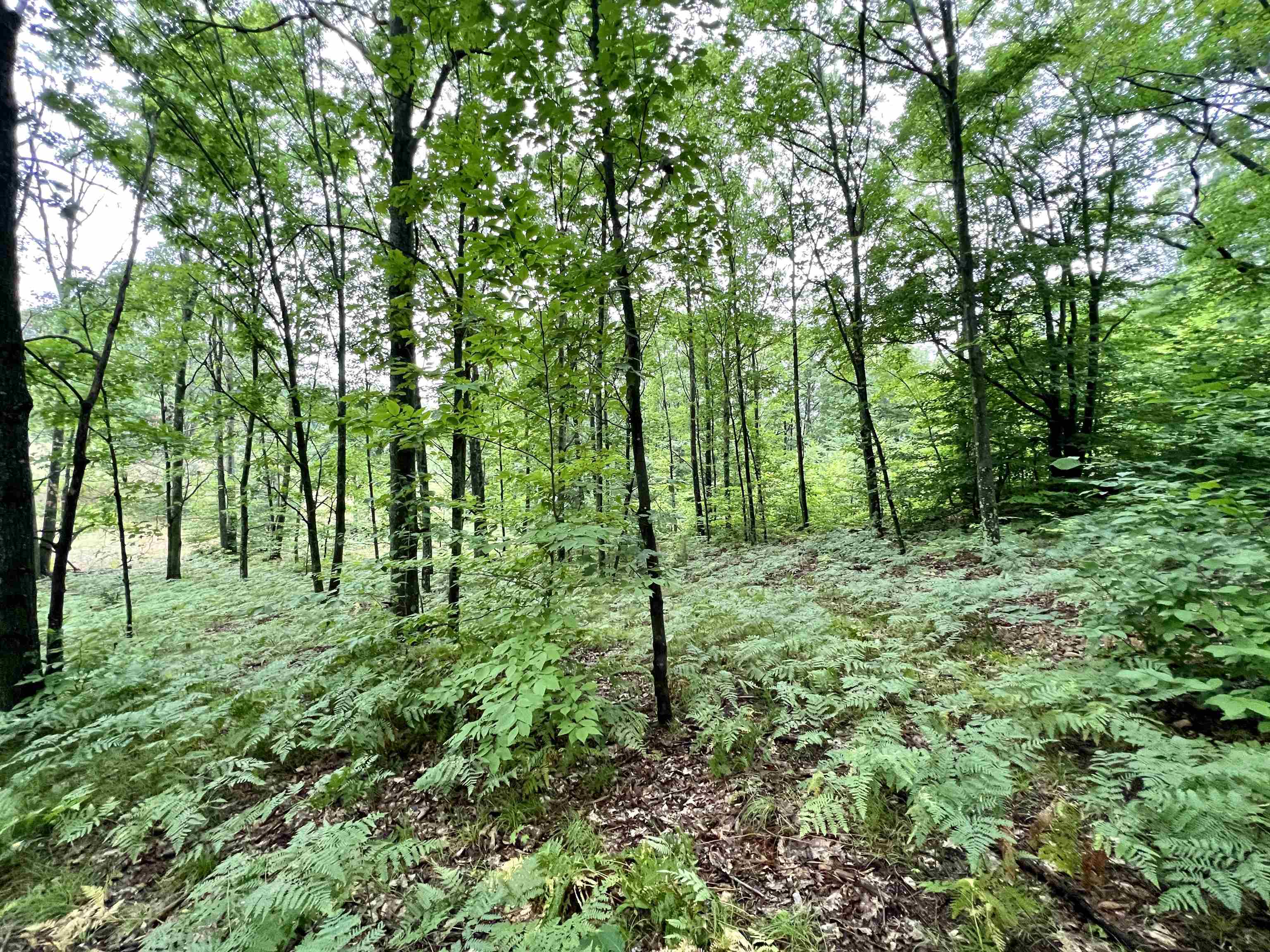 9 9 Mile Road Kingsley, MI 49649 - Photo 52 of 66