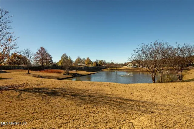 $295,000 | 8729 Parkview Oaks Circle, Olive Branch, MS 38654