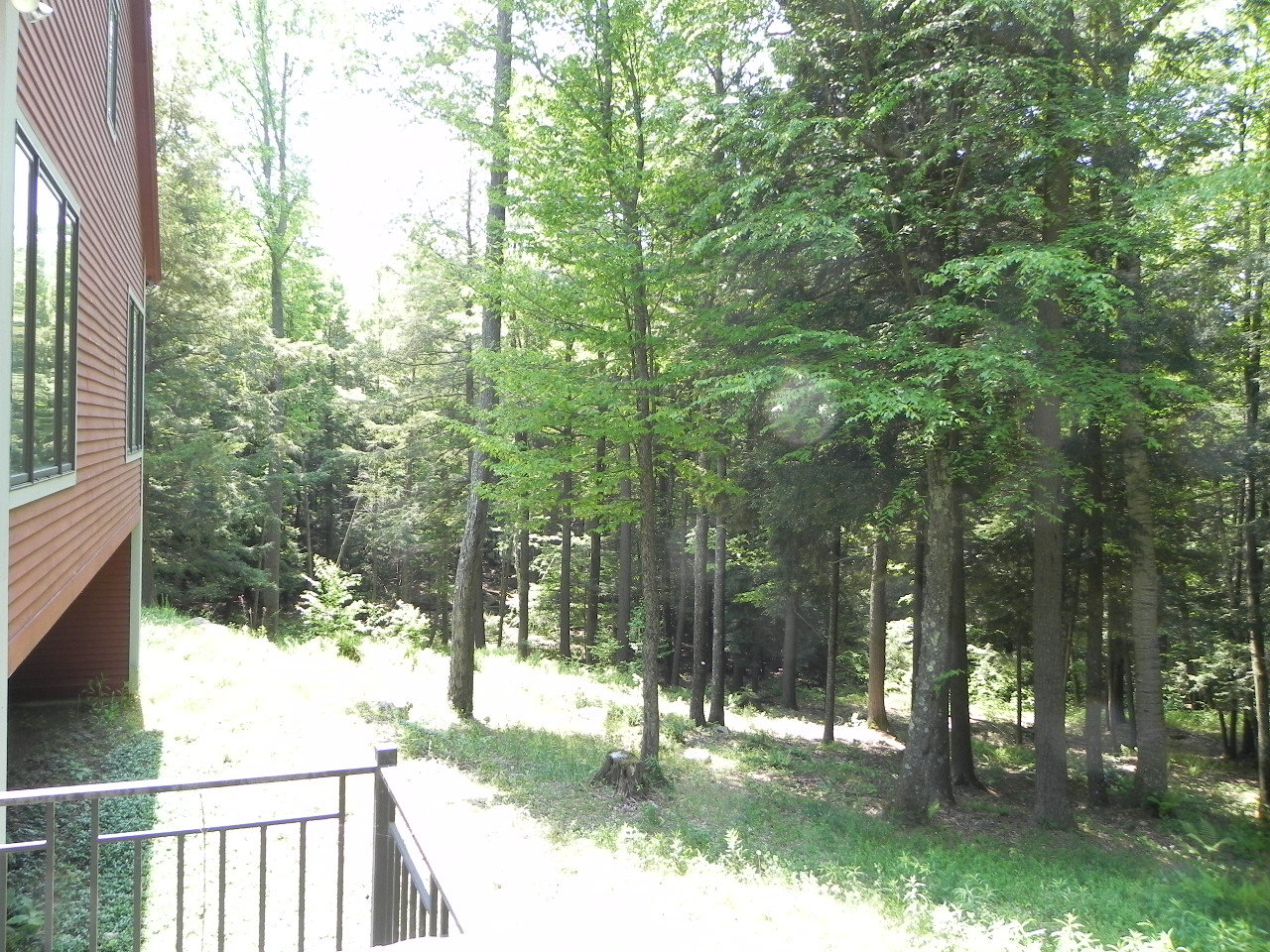 19 Webster Road Tyringham, MA 01264 - Photo 5 of 19 Beautiful woodland setting