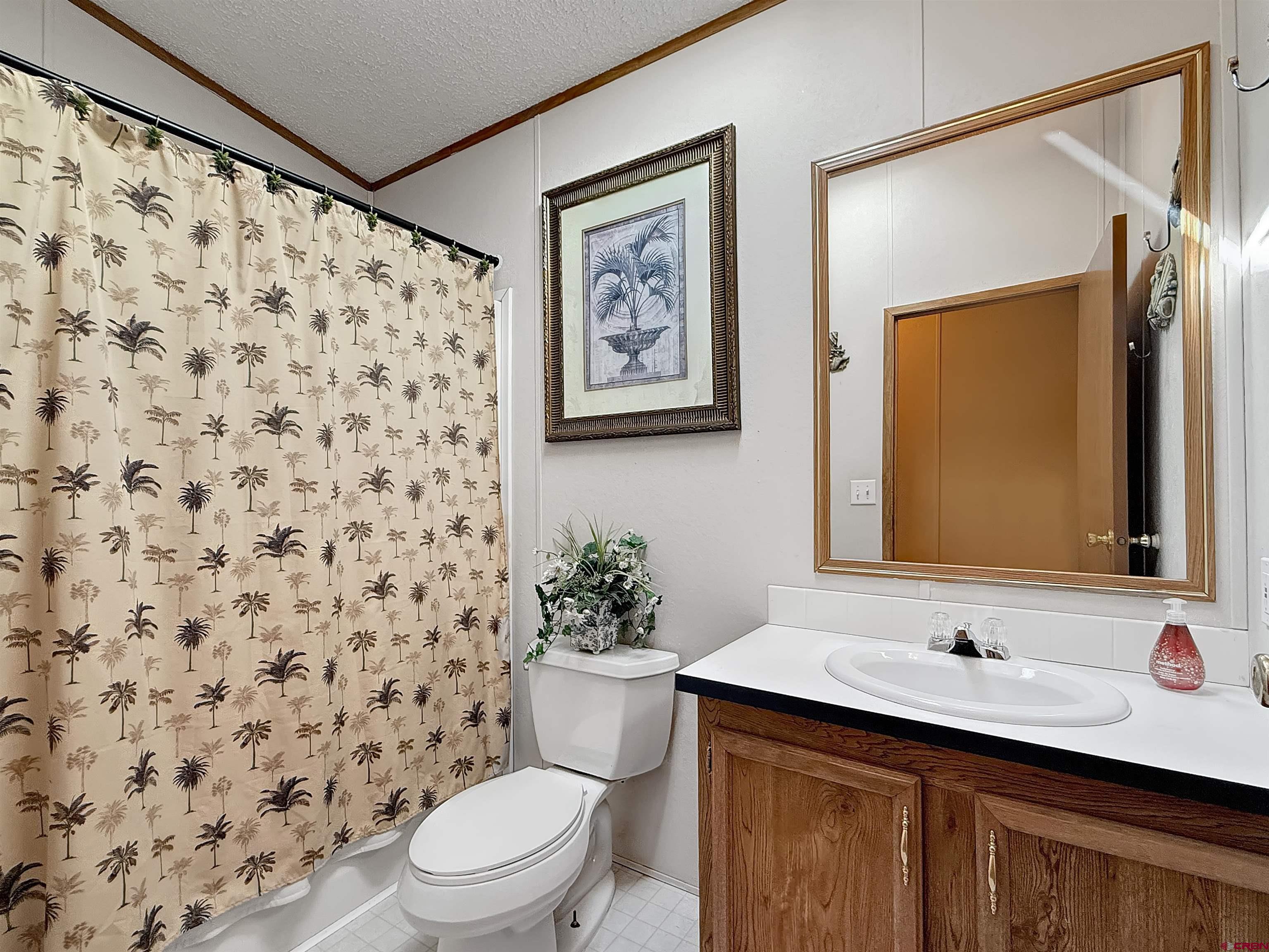 5955 Sawmill Mesa Road Delta, CO 81416 - Photo 17 of 32 a bathroom with a sink a toilet and a mirror