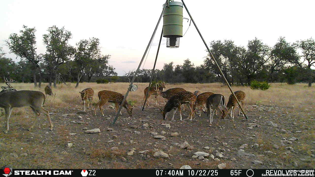 1540 Rough Rider Road Junction, TX 76874 - Photo 25 of 35 Gallery Image 25