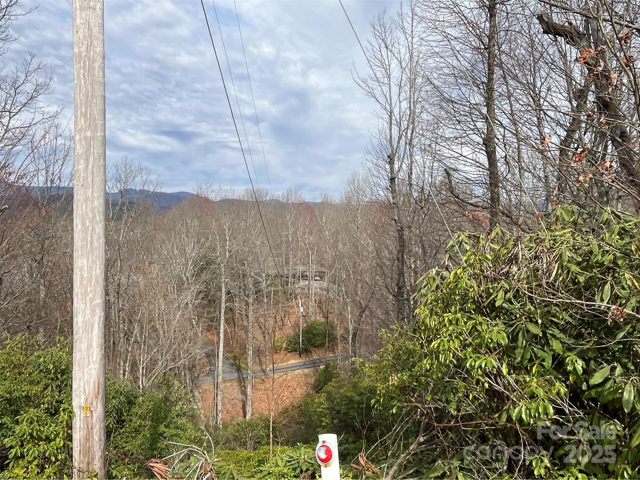 999 Panther Gap Road Brevard, NC 28712 - Photo 6 of 11 Gallery Image 6