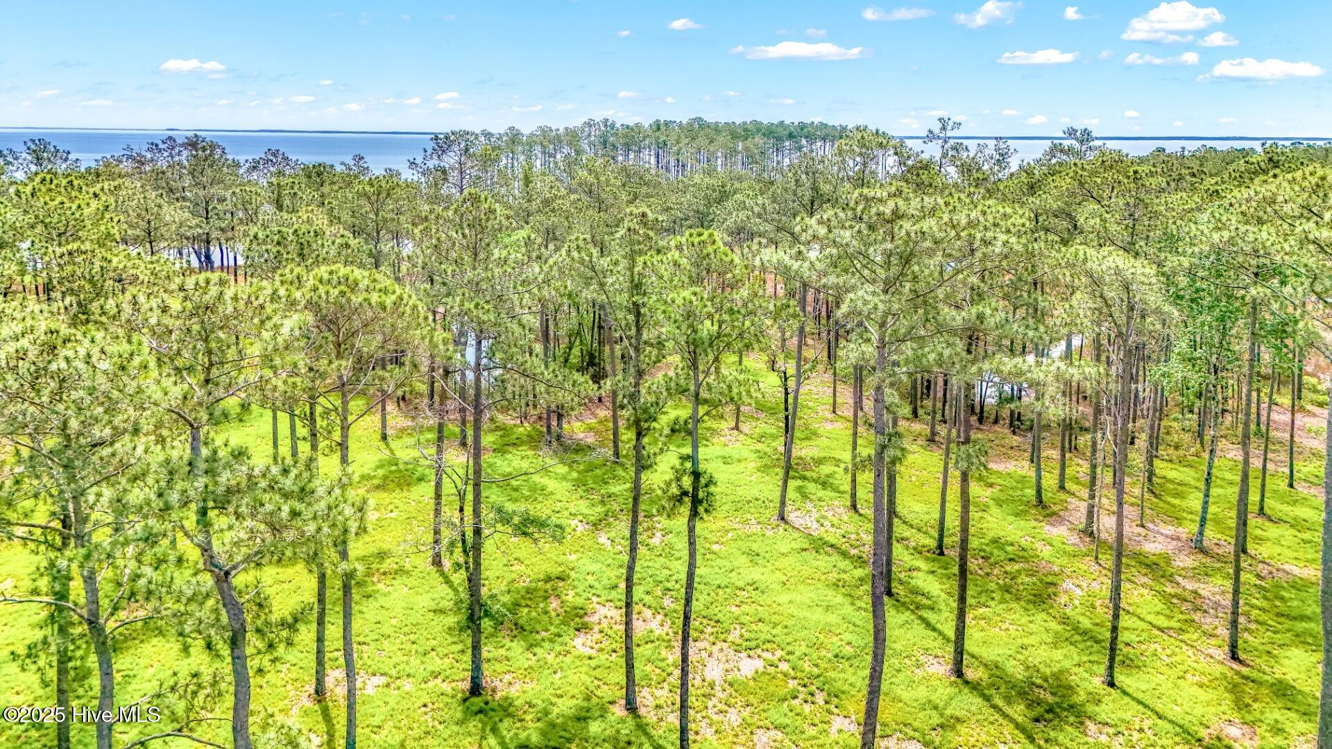 203 River Watch Road Oriental, NC 28571 - Photo 11 of 47 203 River Watch (9)