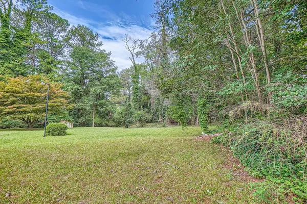 a view of a field with a trees