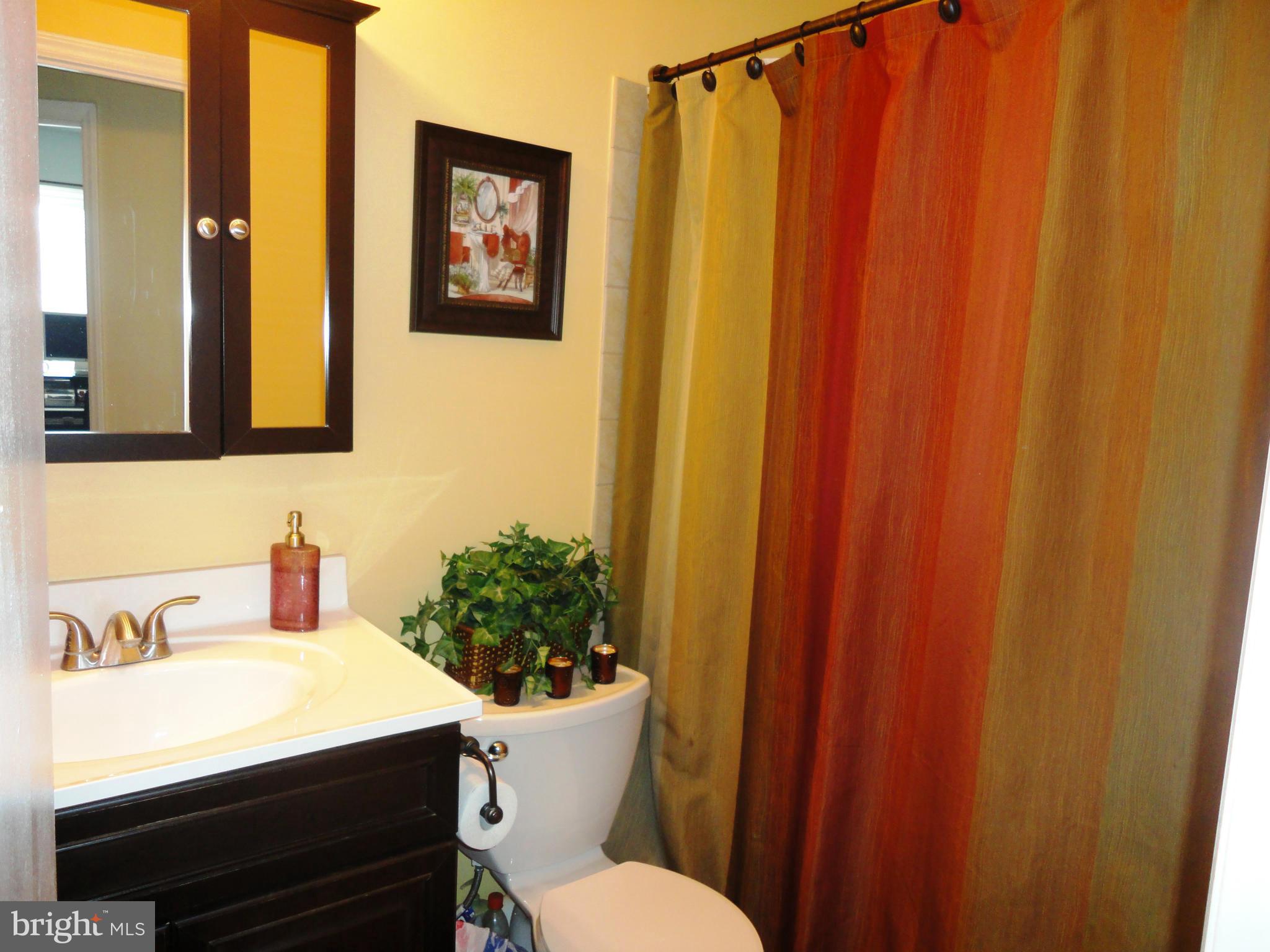 6006 Rabbit Hill Court Centreville, VA 20121 - Photo 15 of 23 Bath
