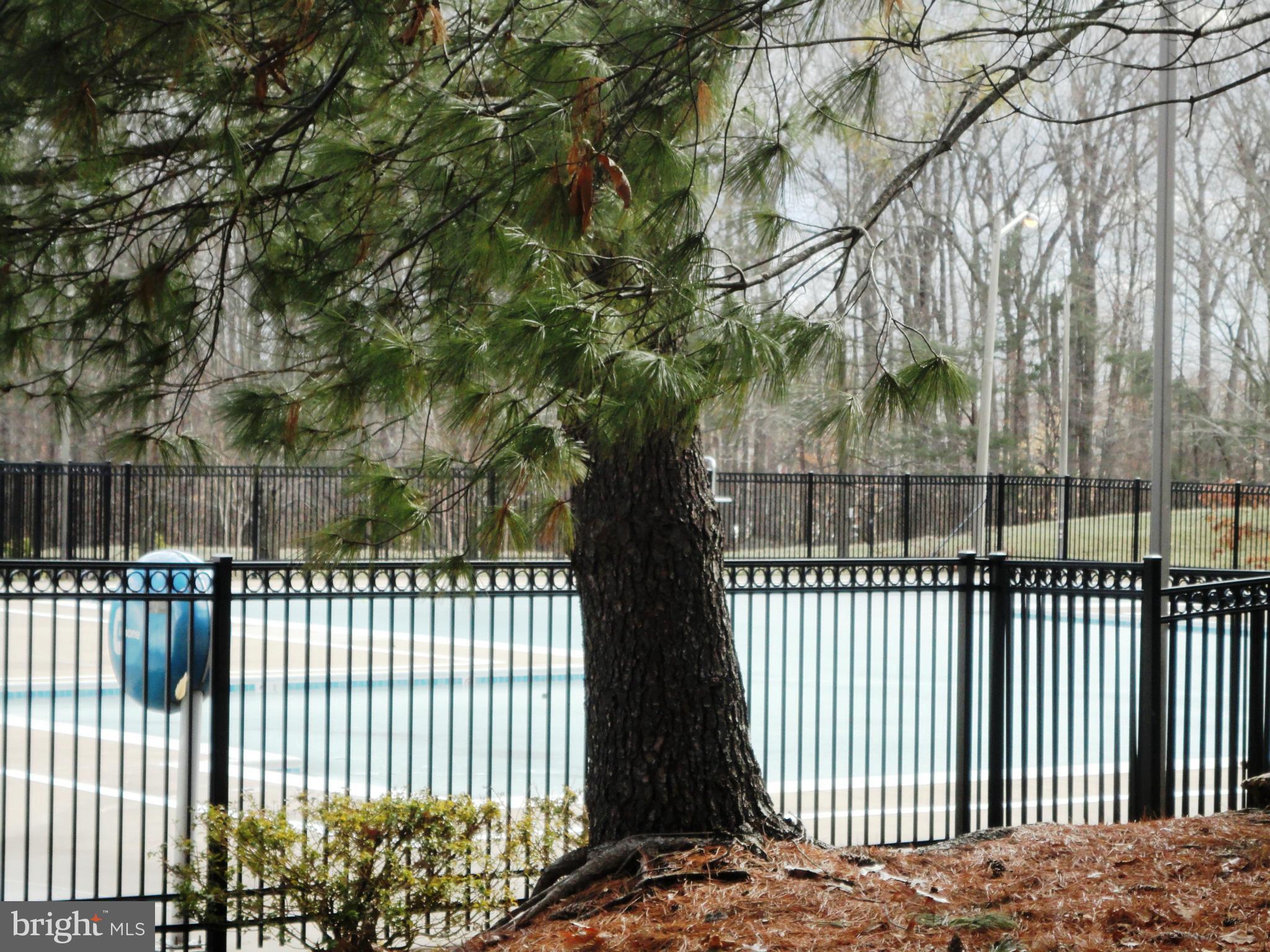 6006 Rabbit Hill Court Centreville, VA 20121 - Photo 22 of 23 Community
