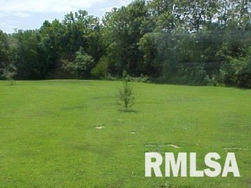 374 Rees Lane Murphysboro, IL 62966 - Photo 4 of 5