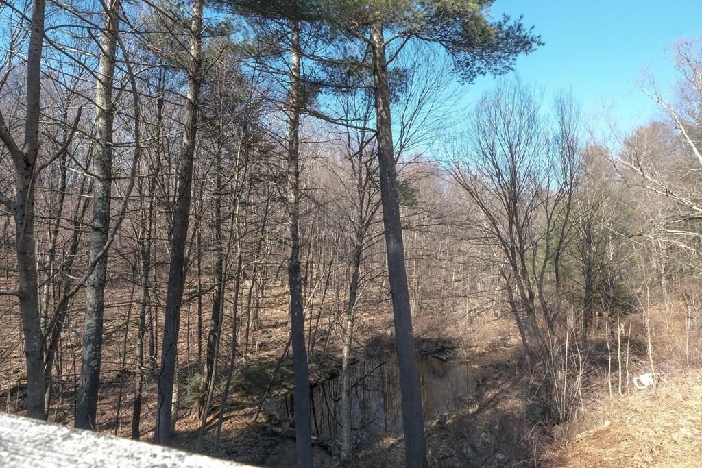 389 Torrey Road Southbridge, MA 01550 - Photo 14 of 15 a view of a yard