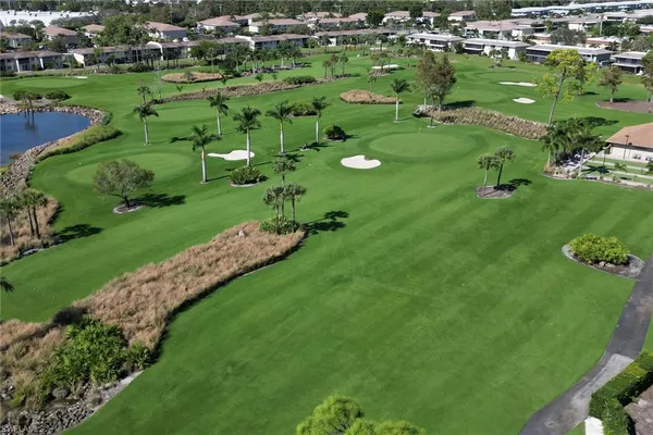 a view of a park with large trees