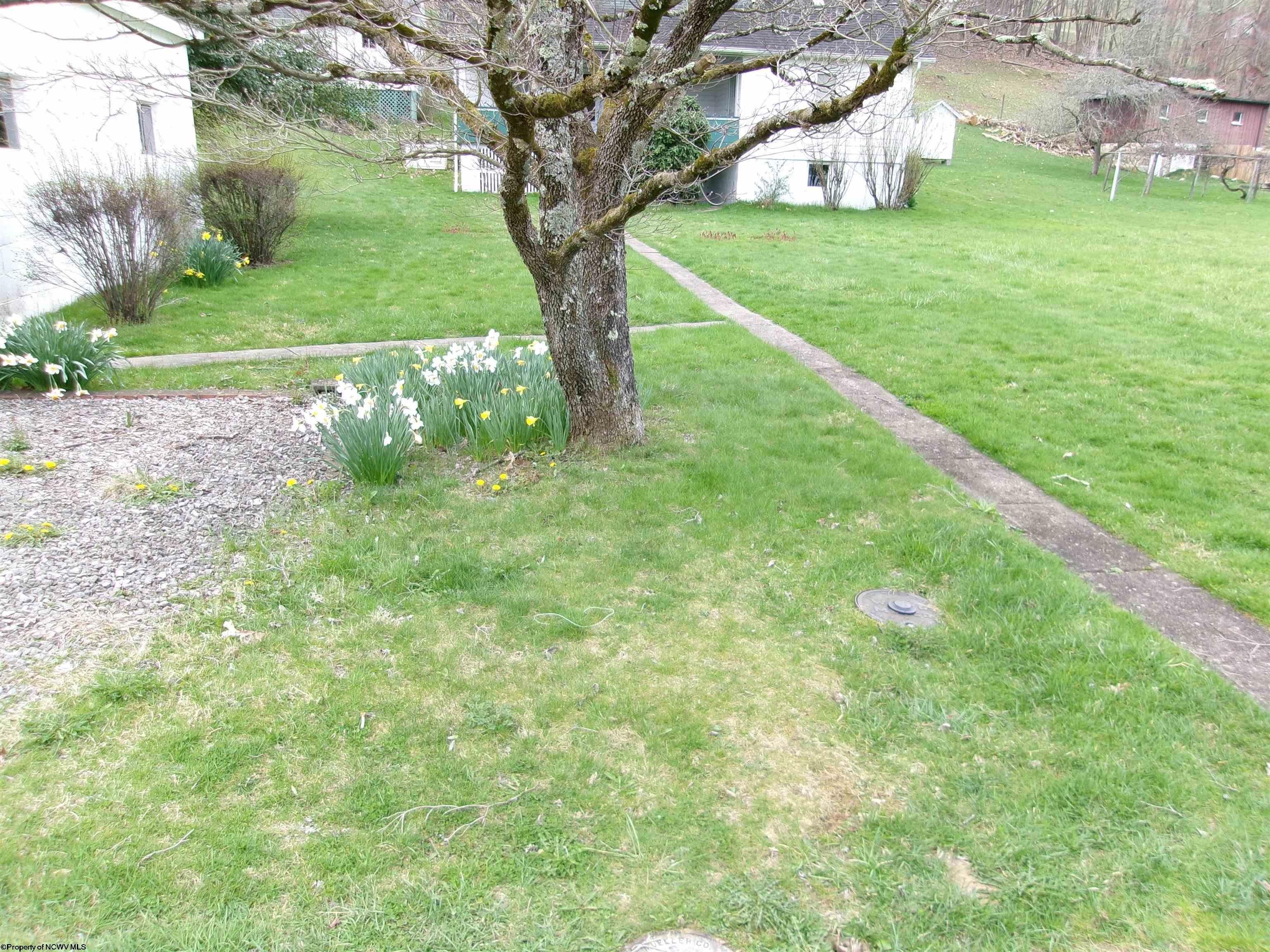 63 Bartrug Road Fairmont, WV 26554 - Photo 3 of 40 Gallery Image 3