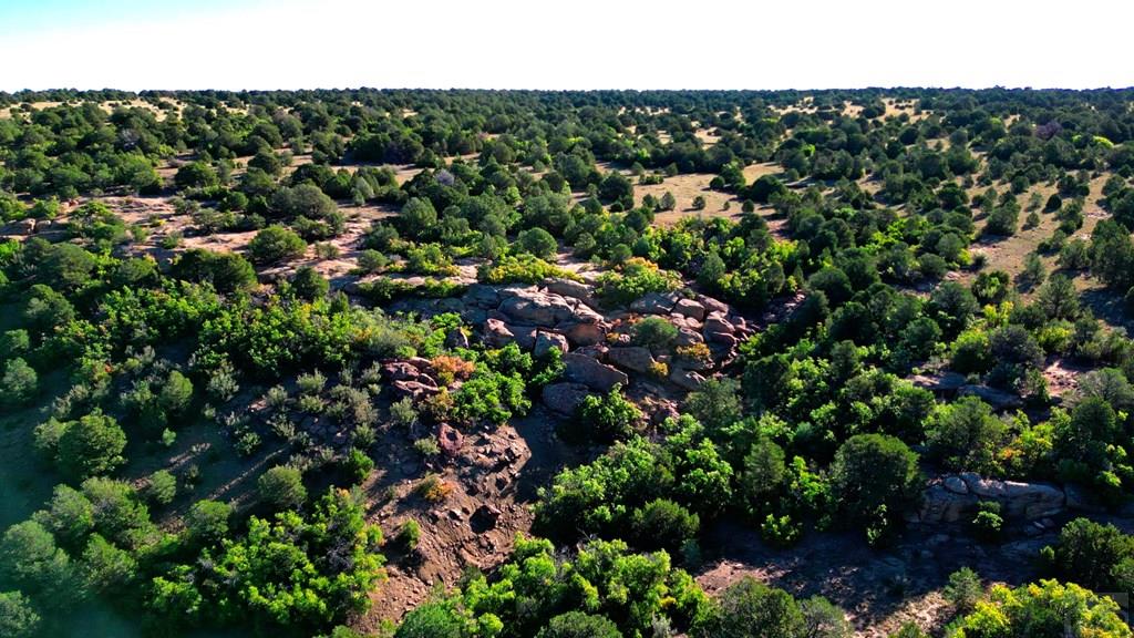 Tbd Bear Creek Road Walsenburg, CO 81089 - Photo 5 of 37