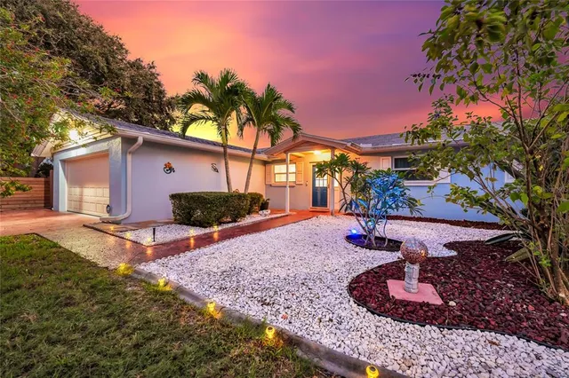 a view of a backyard with potted plants