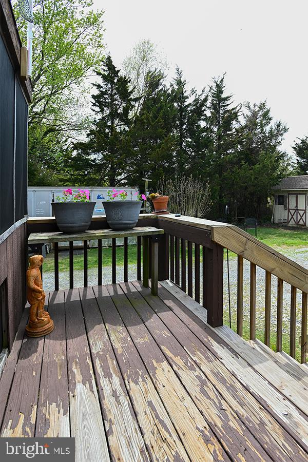 11 Vassar Avenue Fortescue, NJ 08321 - Photo 30 of 41