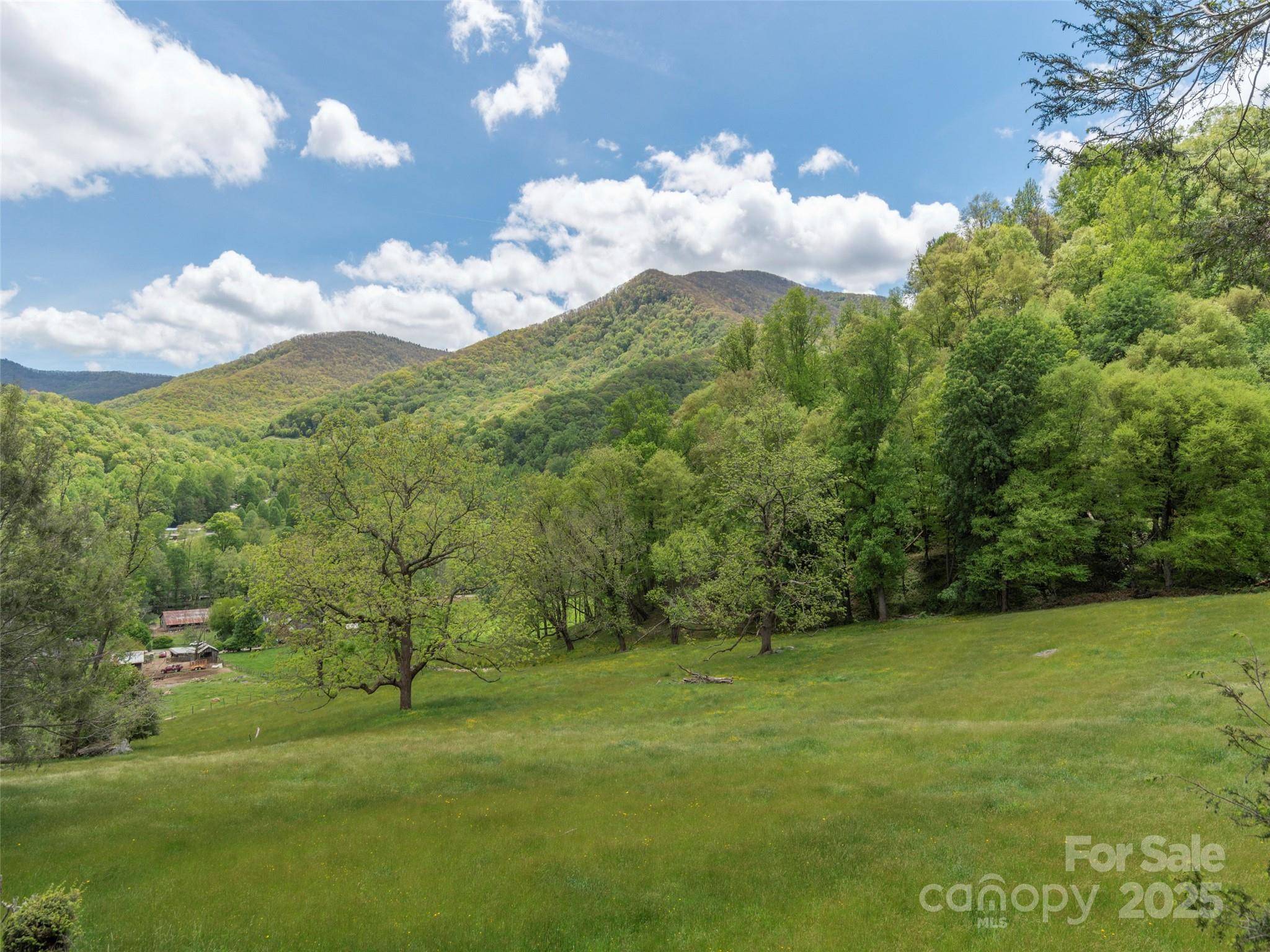336 Stoney Ridge Loop Maggie Valley, NC 28751 - Photo 19 of 25