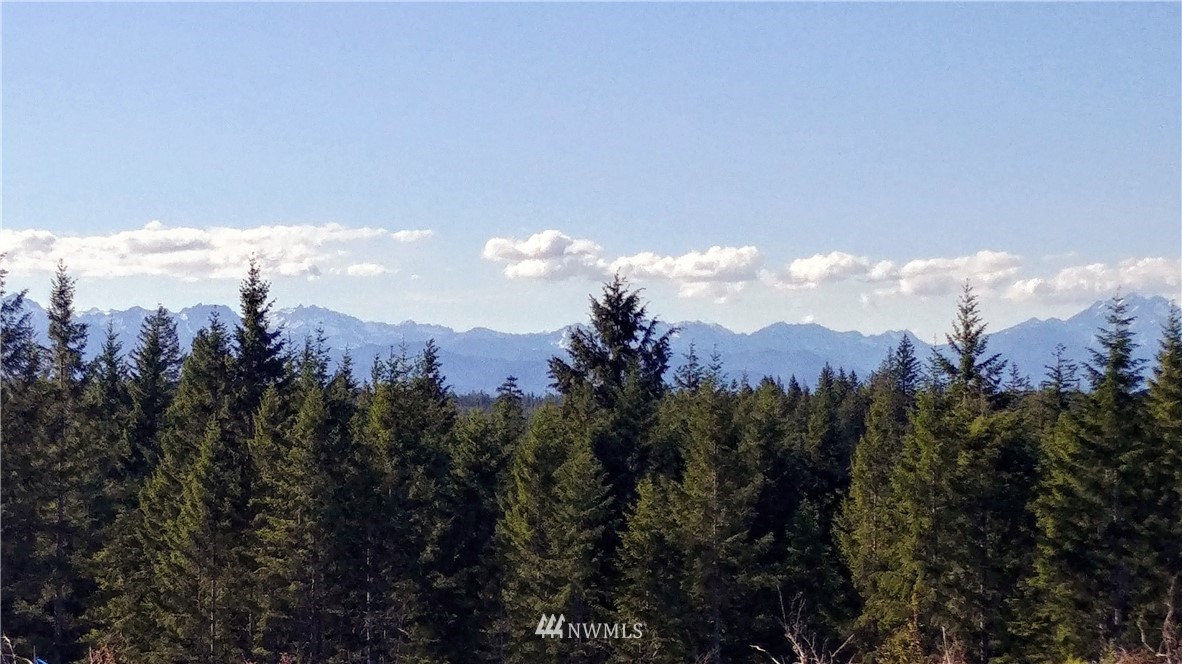 4 Xx Benson Ridge Road Grapeview, WA 98546 - Photo 1 of 3 Gallery Image 1