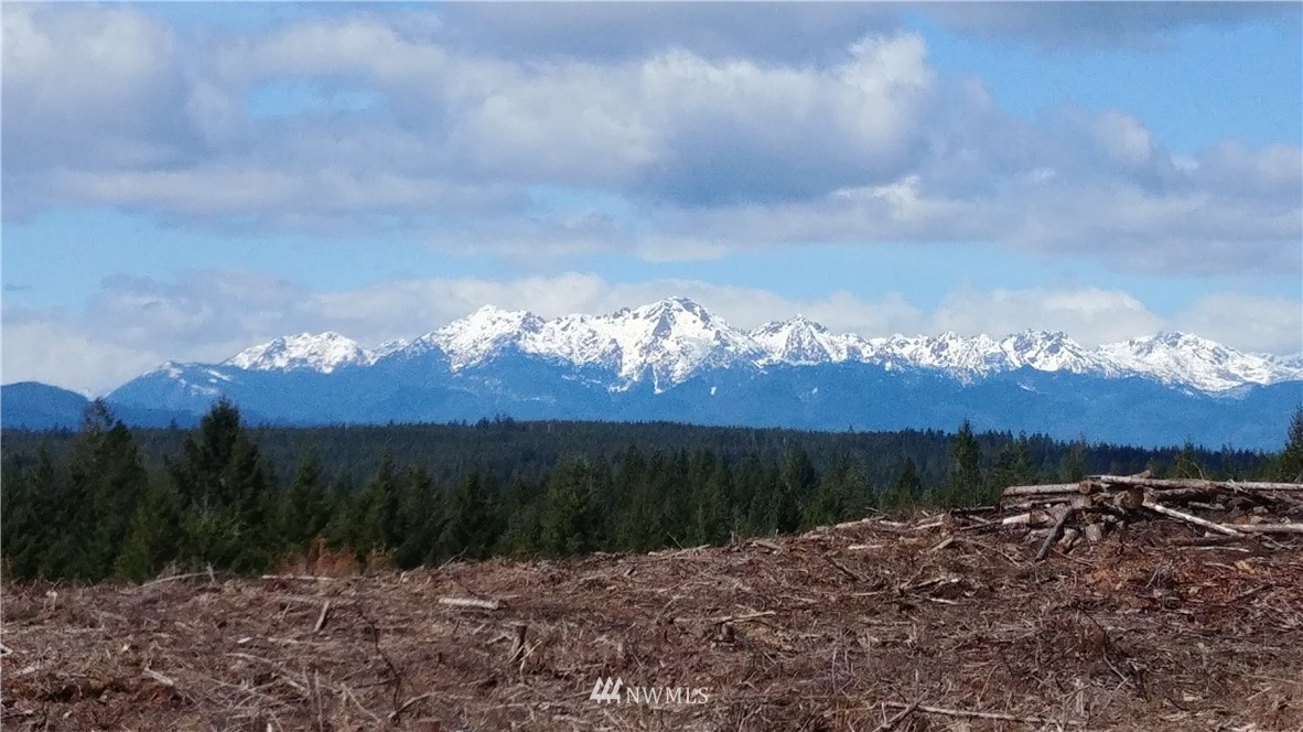 4 Xx Benson Ridge Road Grapeview, WA 98546 - Photo 3 of 3 Gallery Image 3
