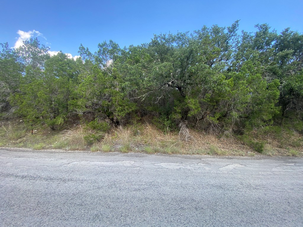 0 Old Rocksprings Road Leakey, TX 78873 - Photo 11 of 18
