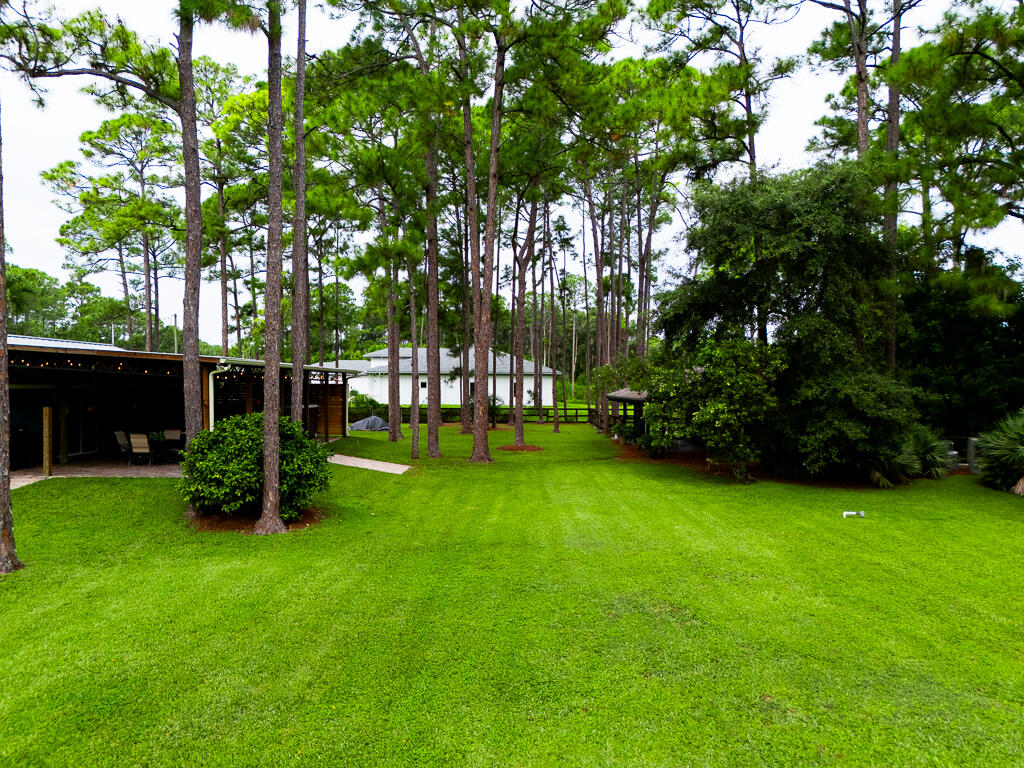 15733 Temple Boulevard Loxahatchee, FL 33470 - Photo 23 of 27 a view of garden with trees
