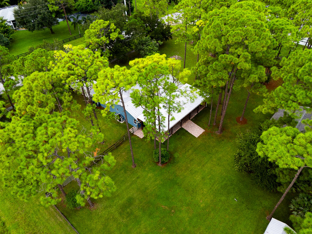 15733 Temple Boulevard Loxahatchee, FL 33470 - Photo 27 of 27 a view of a plant in a garden