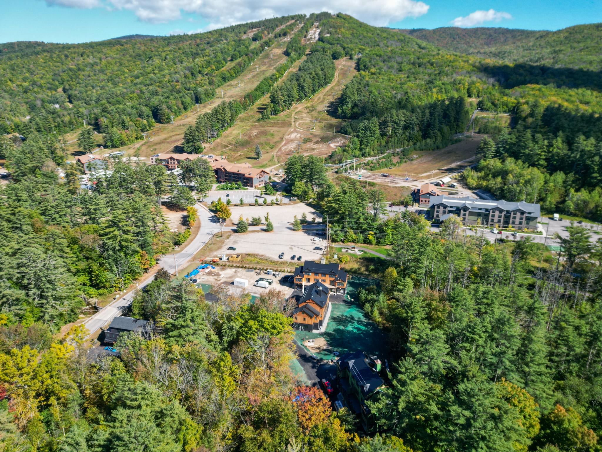 31 Black Diamond Road, Unit 9 North Conway, NH 03860 - Photo 2 of 48