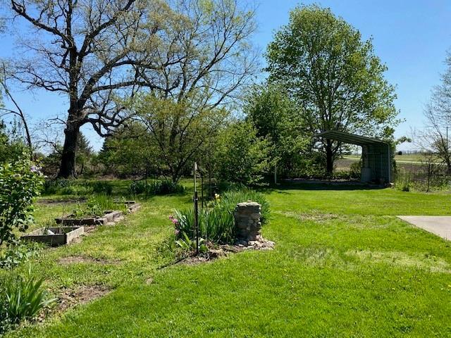 17731 East 2880 N Road Alvin, IL 61811 - Photo 4 of 17 a green field with lots of trees