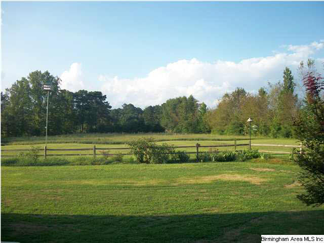 4788 Sumatanga Road Gallant, AL 35972 - Photo 22 of 27