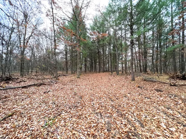 $41,000 | 2442 East 38th Street, Idlewild, MI 49642