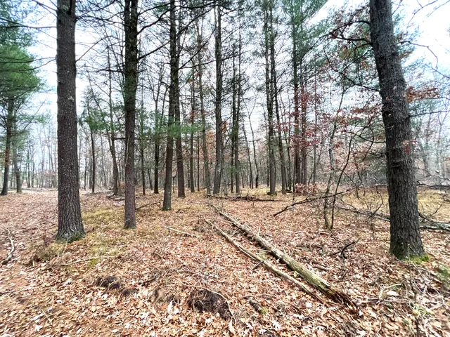 $41,000 | 2442 East 38th Street, Idlewild, MI 49642