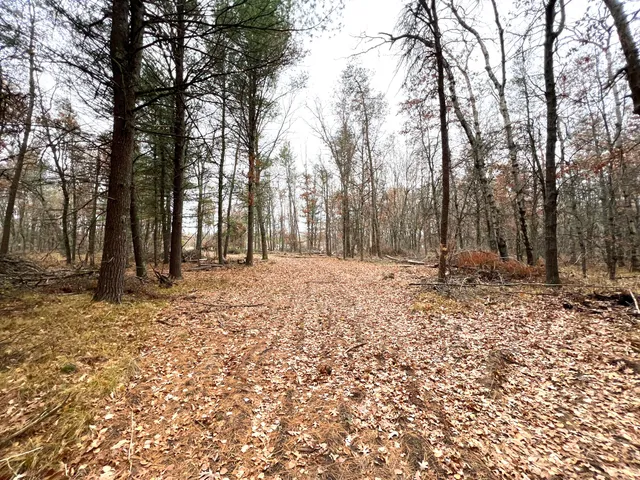 $41,000 | 2442 East 38th Street, Idlewild, MI 49642