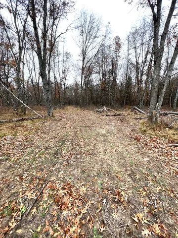 $41,000 | 2442 East 38th Street, Idlewild, MI 49642