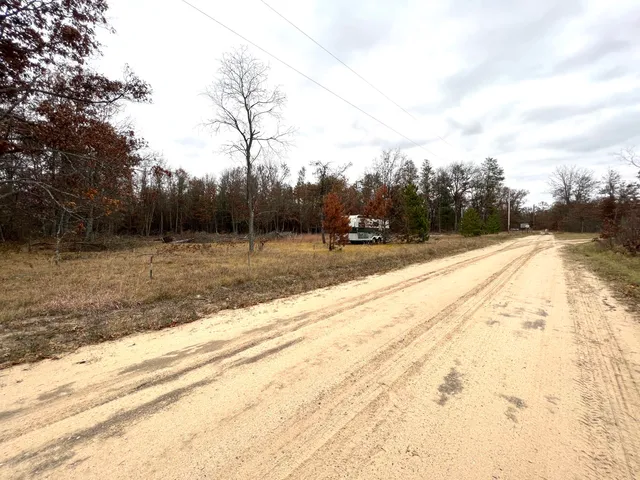 $41,000 | 2442 East 38th Street, Idlewild, MI 49642