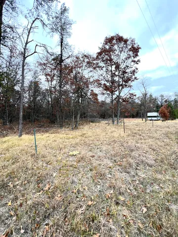 $41,000 | 2442 East 38th Street, Idlewild, MI 49642