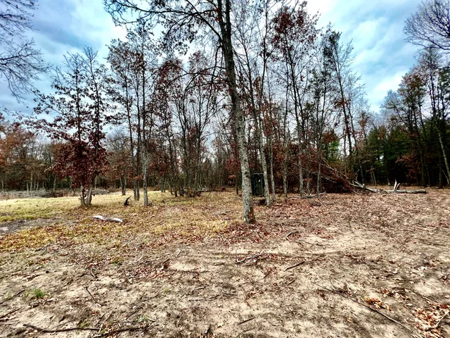 $41,000 | 2442 East 38th Street, Idlewild, MI 49642