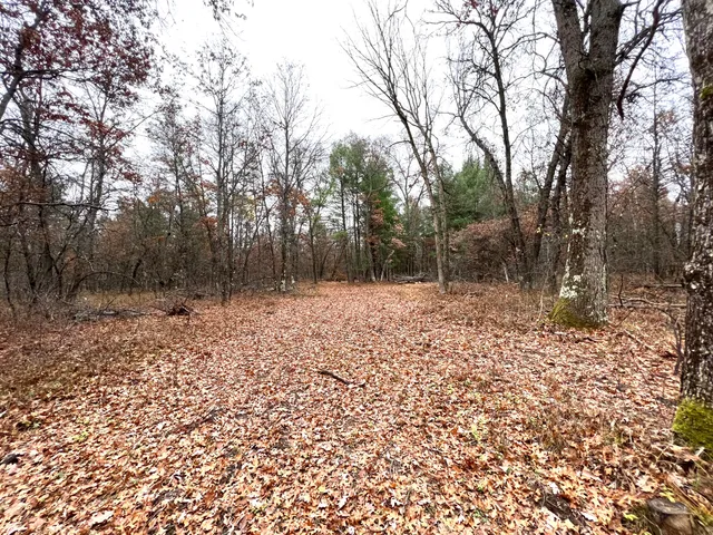 $41,000 | 2442 East 38th Street, Idlewild, MI 49642