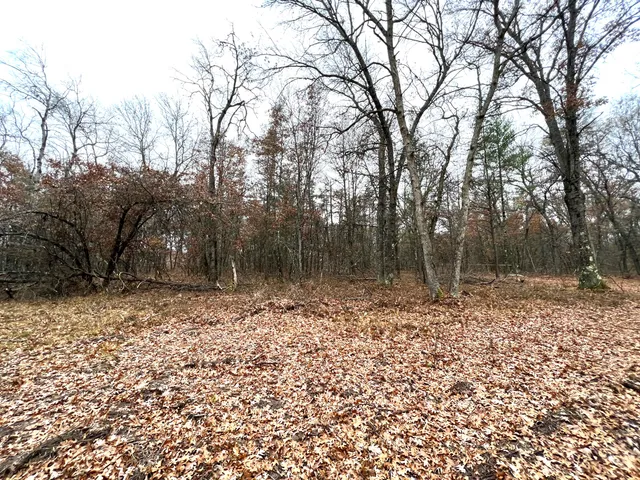 $41,000 | 2442 East 38th Street, Idlewild, MI 49642