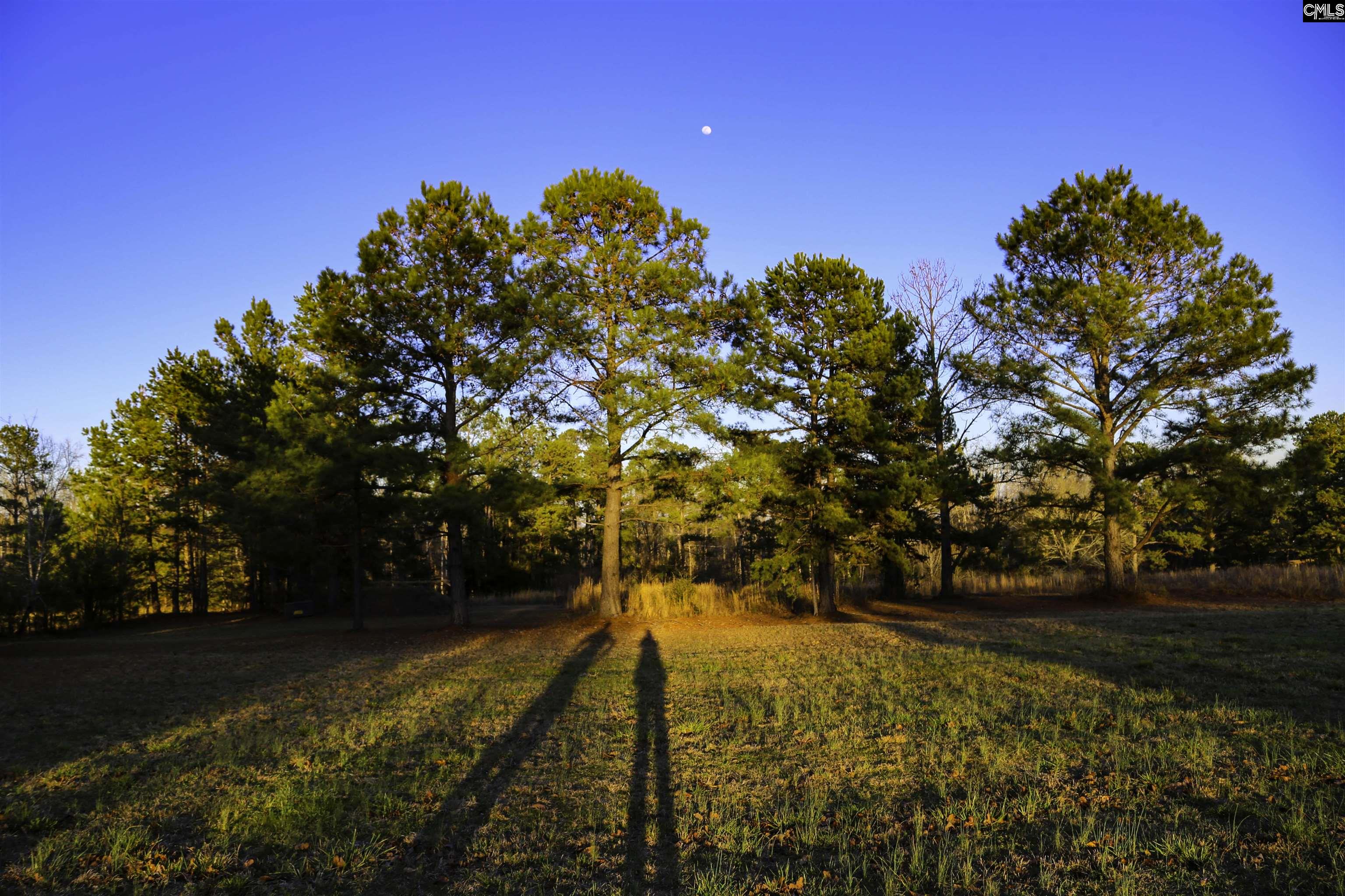611 Longtown Road Lugoff, SC 29078 - Photo 25 of 52