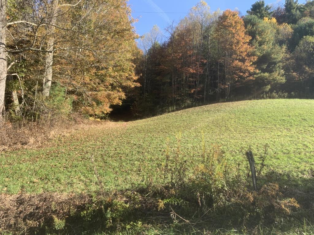 0 Owl Hollow Road Shady Valley, TN 37688 - Photo 1 of 1 Gallery Image 1