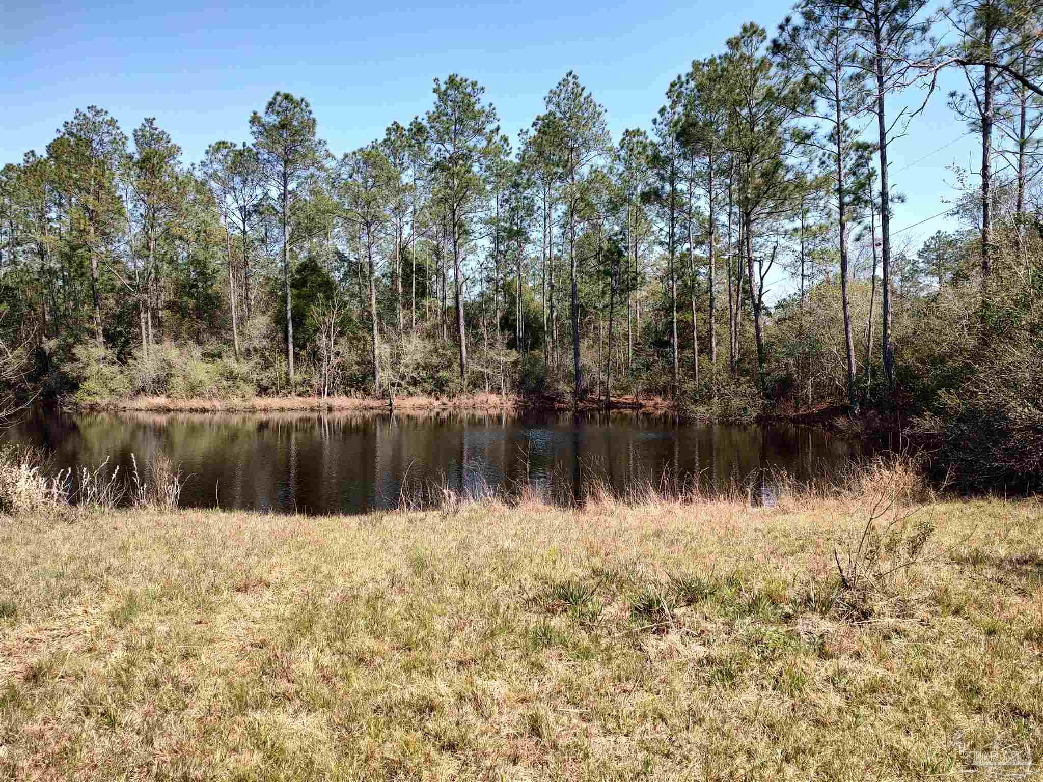 8288 Parker Road Milton, FL 32570 - Photo 35 of 40 Gallery Image 35