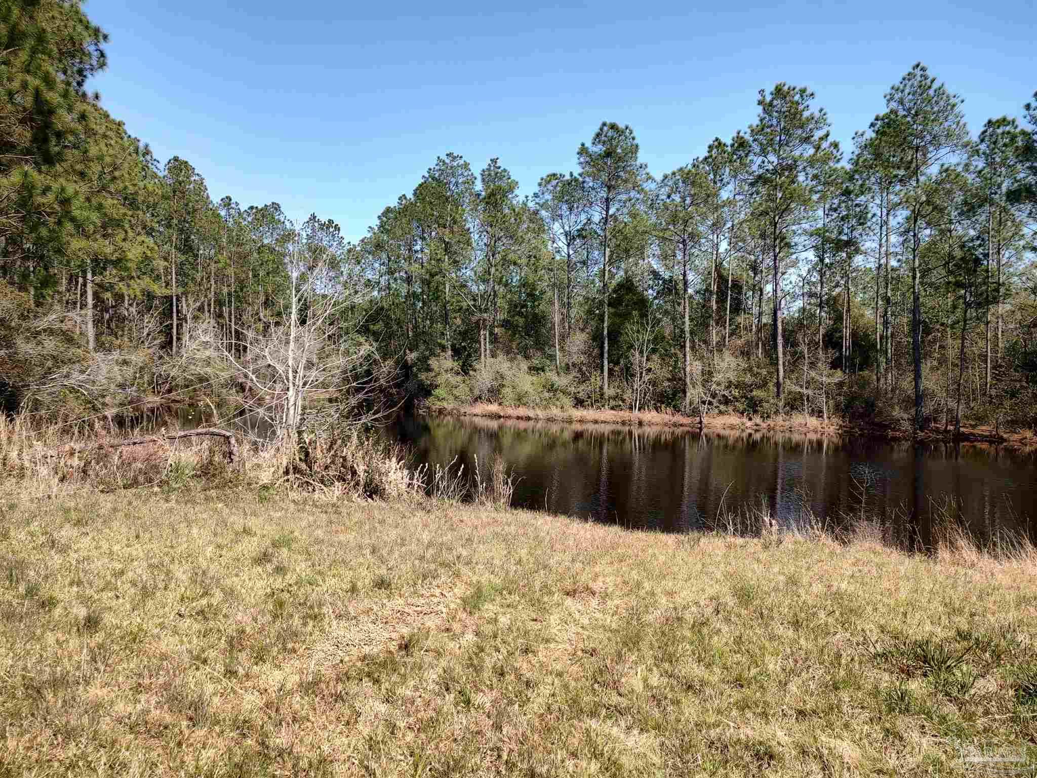 8288 Parker Road Milton, FL 32570 - Photo 37 of 40 Gallery Image 37