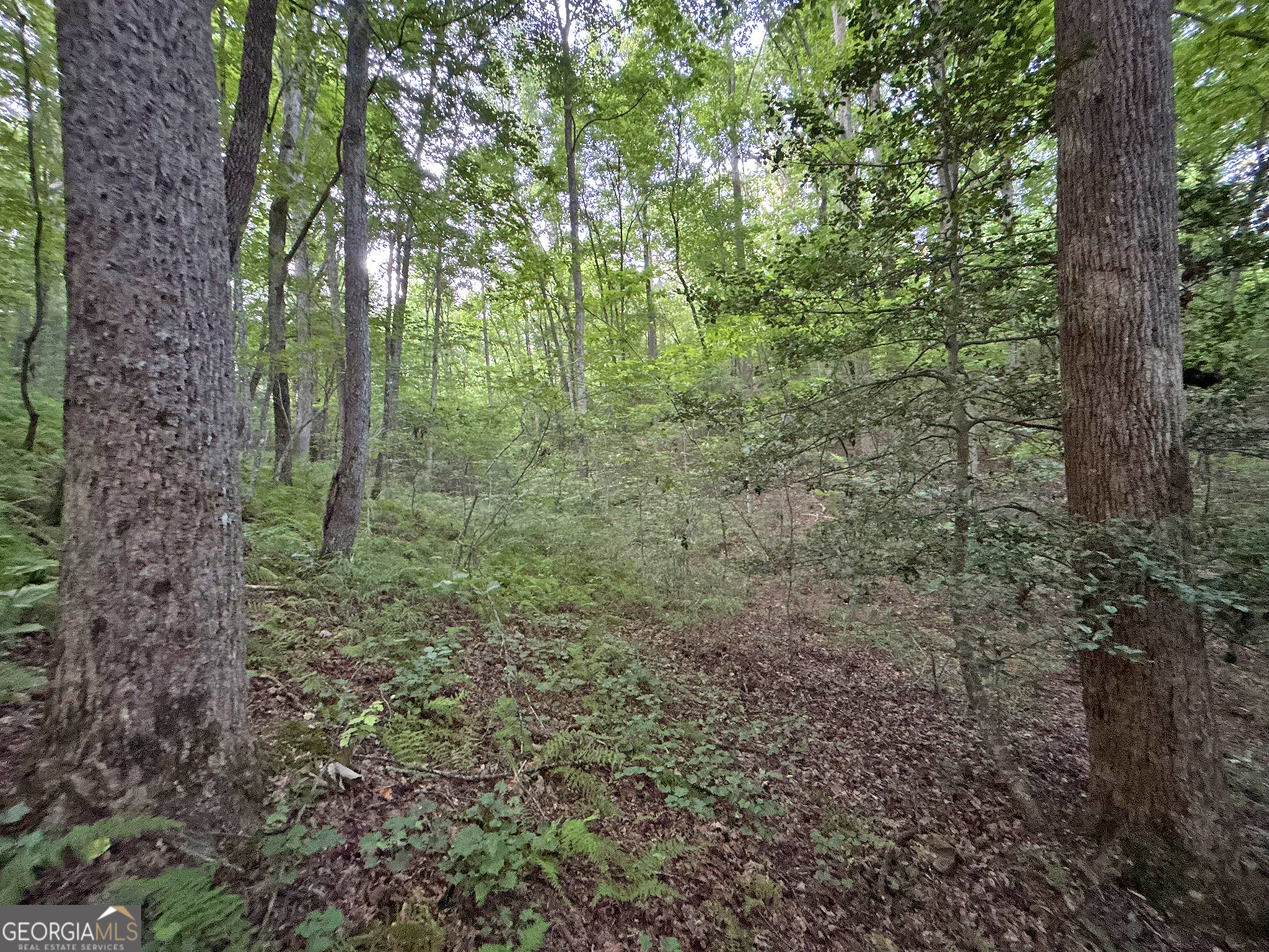 Lot 20 Mt Springer Road Ellijay, GA 30540 - Photo 25 of 32