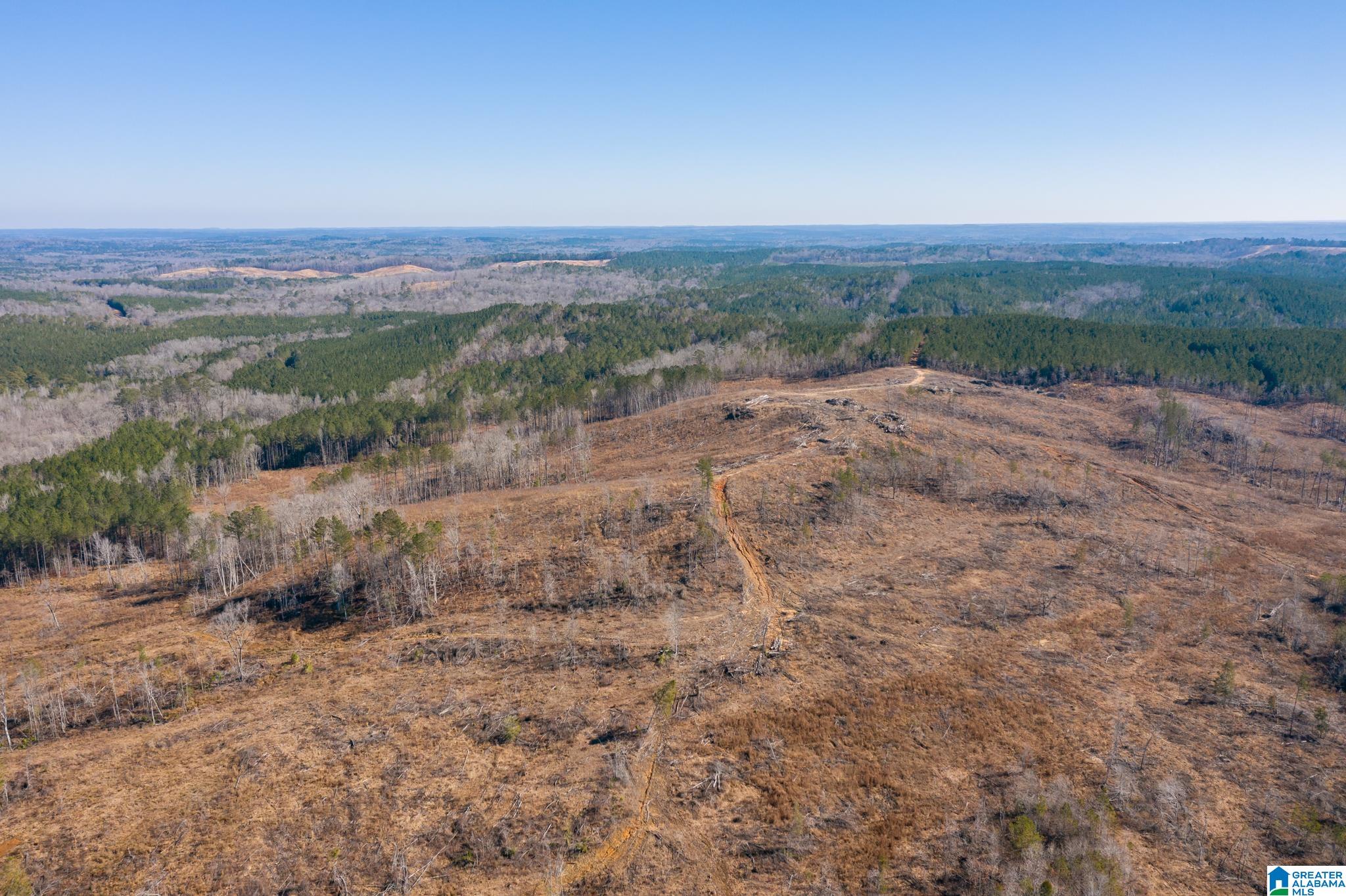 0 Harless Road Northport, AL 35475 - Photo 6 of 34