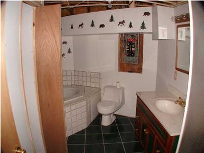 2950 Senator Road Sheridan, MI 48884 - Photo 13 of 13 Additional Photo