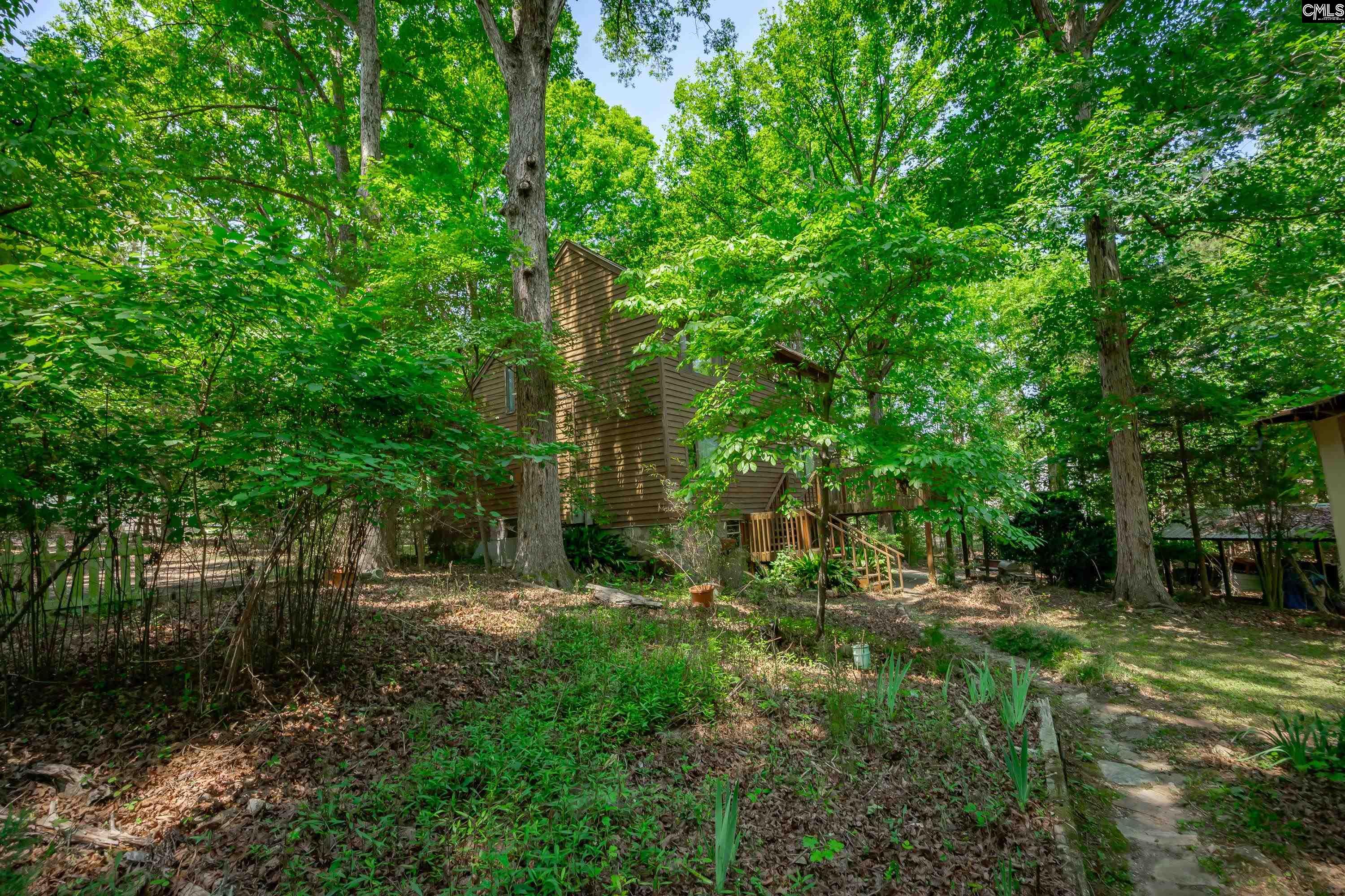 841 Foxden Road Gilbert, SC 29054 - Photo 46 of 52