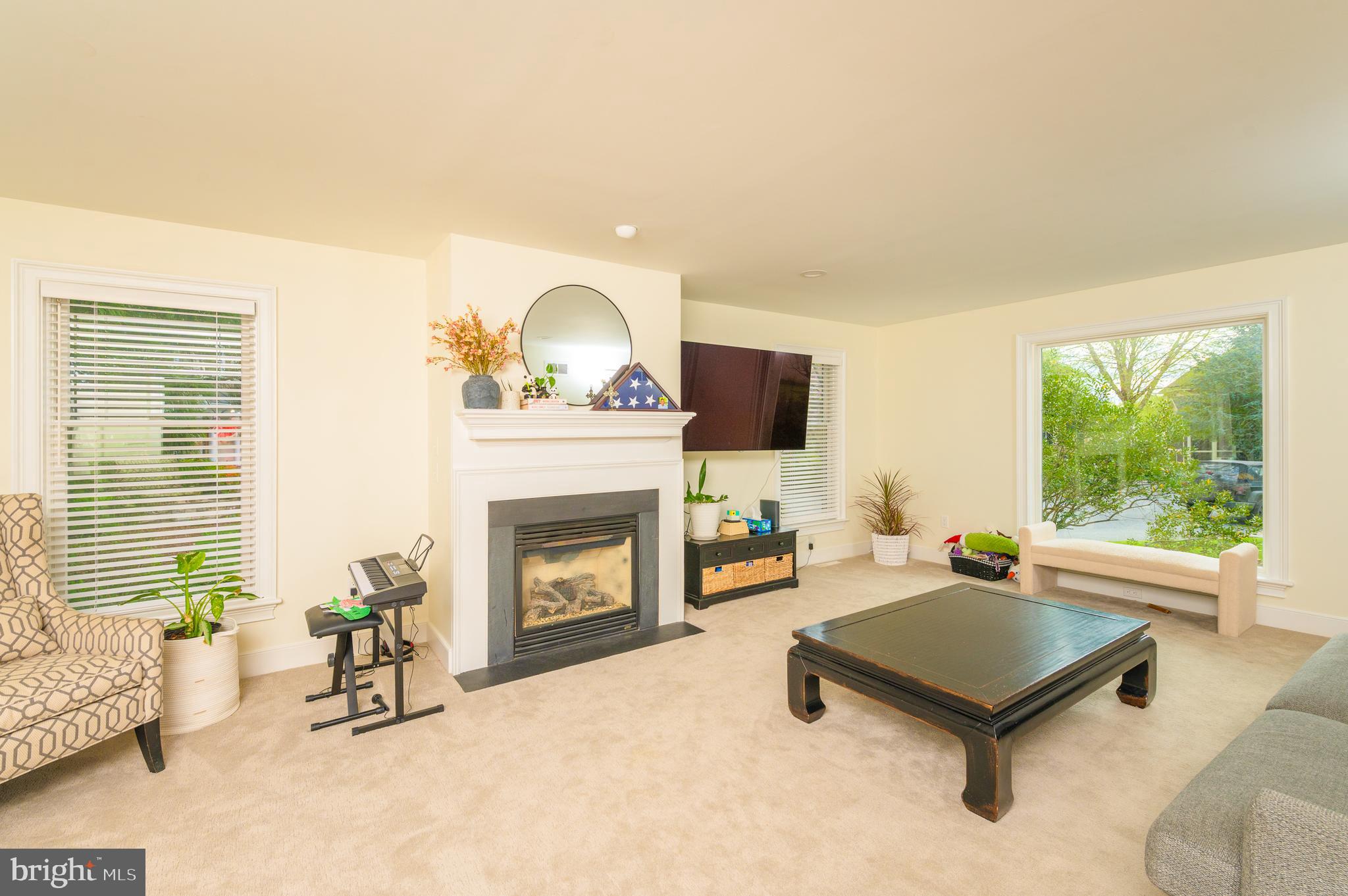 744 Goose Neck Drive Lititz, PA 17543 - Photo 22 of 56 Family Room