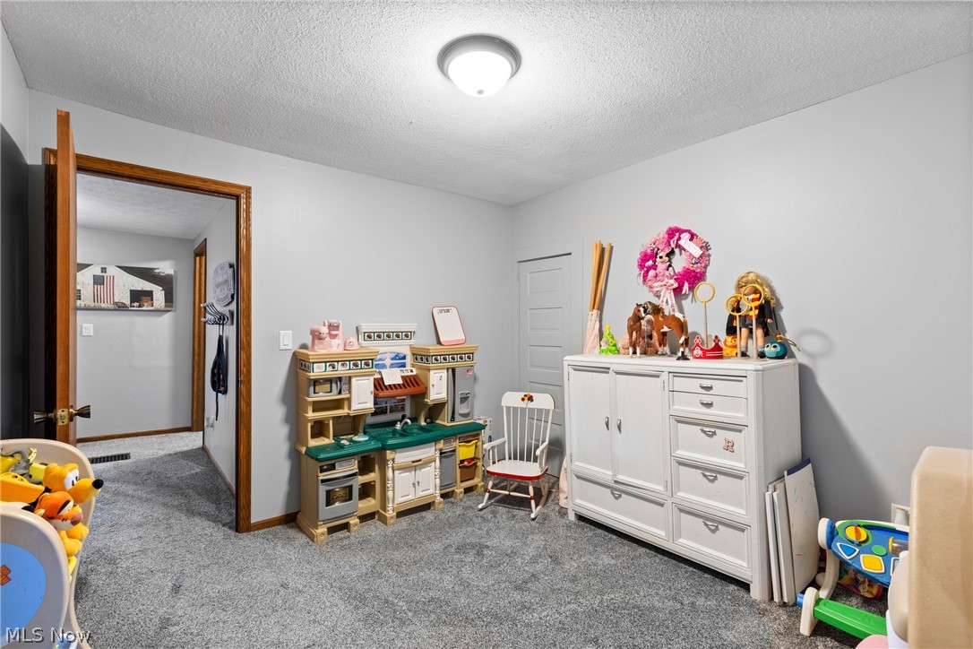 64508 Slade Road Cambridge, OH 43725 - Photo 30 of 50 Playroom with dark carpet and a textured ceiling