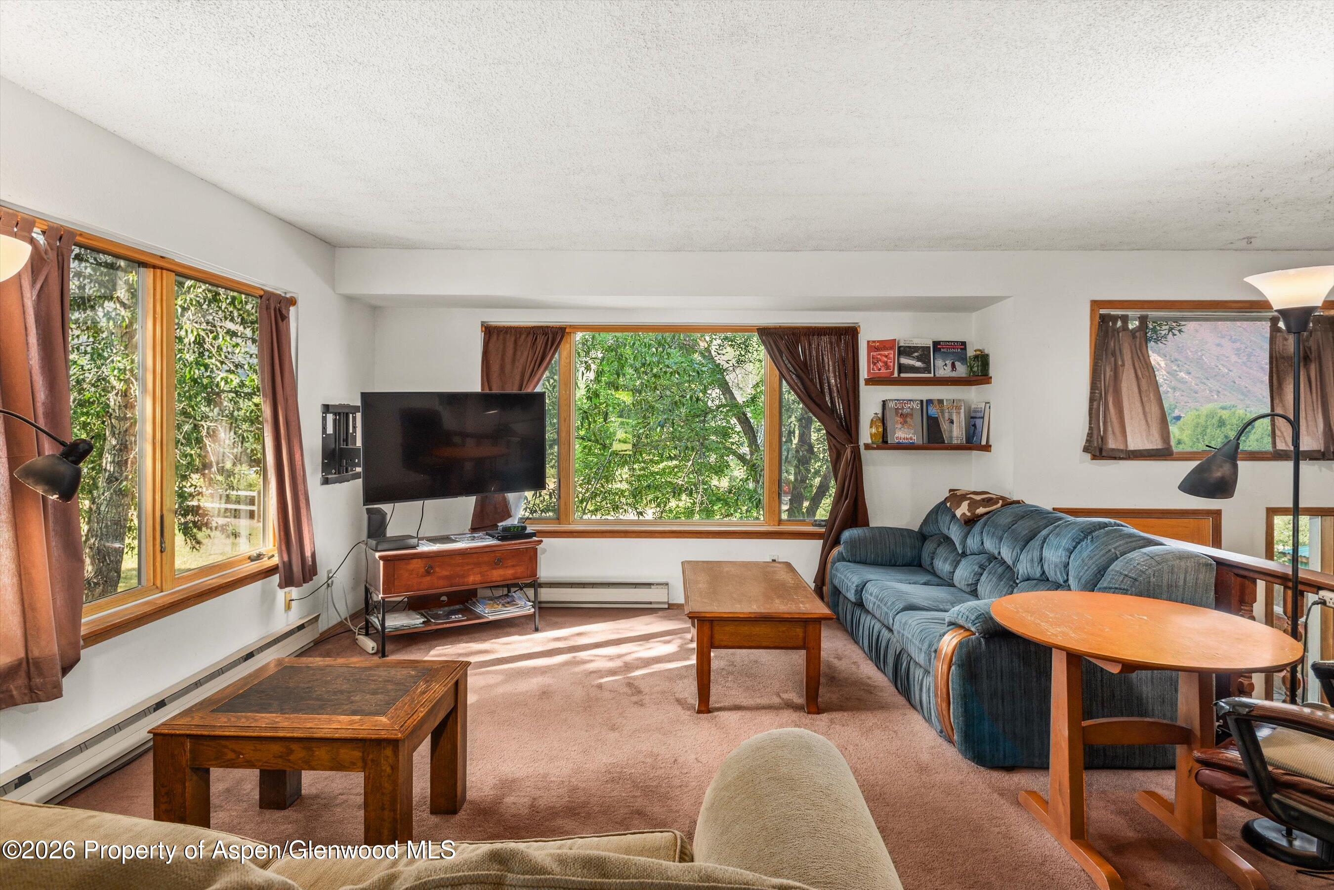 198 Holland Hills Road Basalt, CO 81621 - Photo 12 of 50 a living room with furniture and a flat screen tv