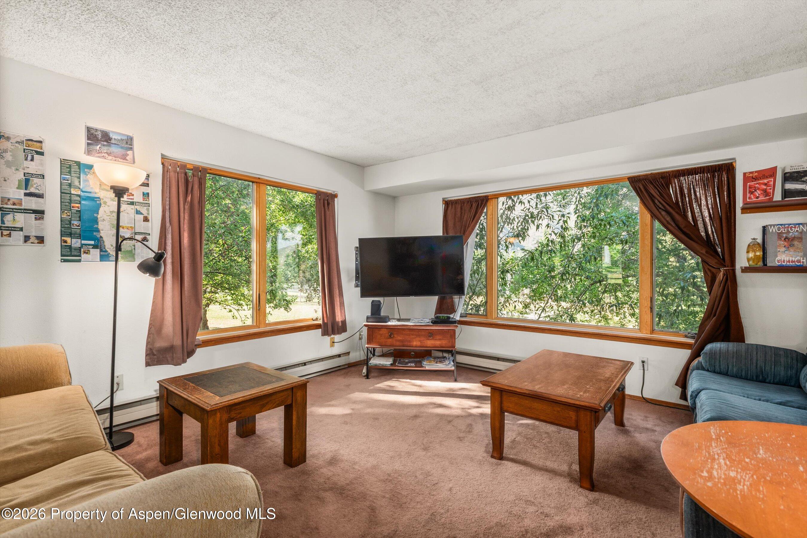 198 Holland Hills Road Basalt, CO 81621 - Photo 14 of 50 a living room with furniture and a flat screen tv