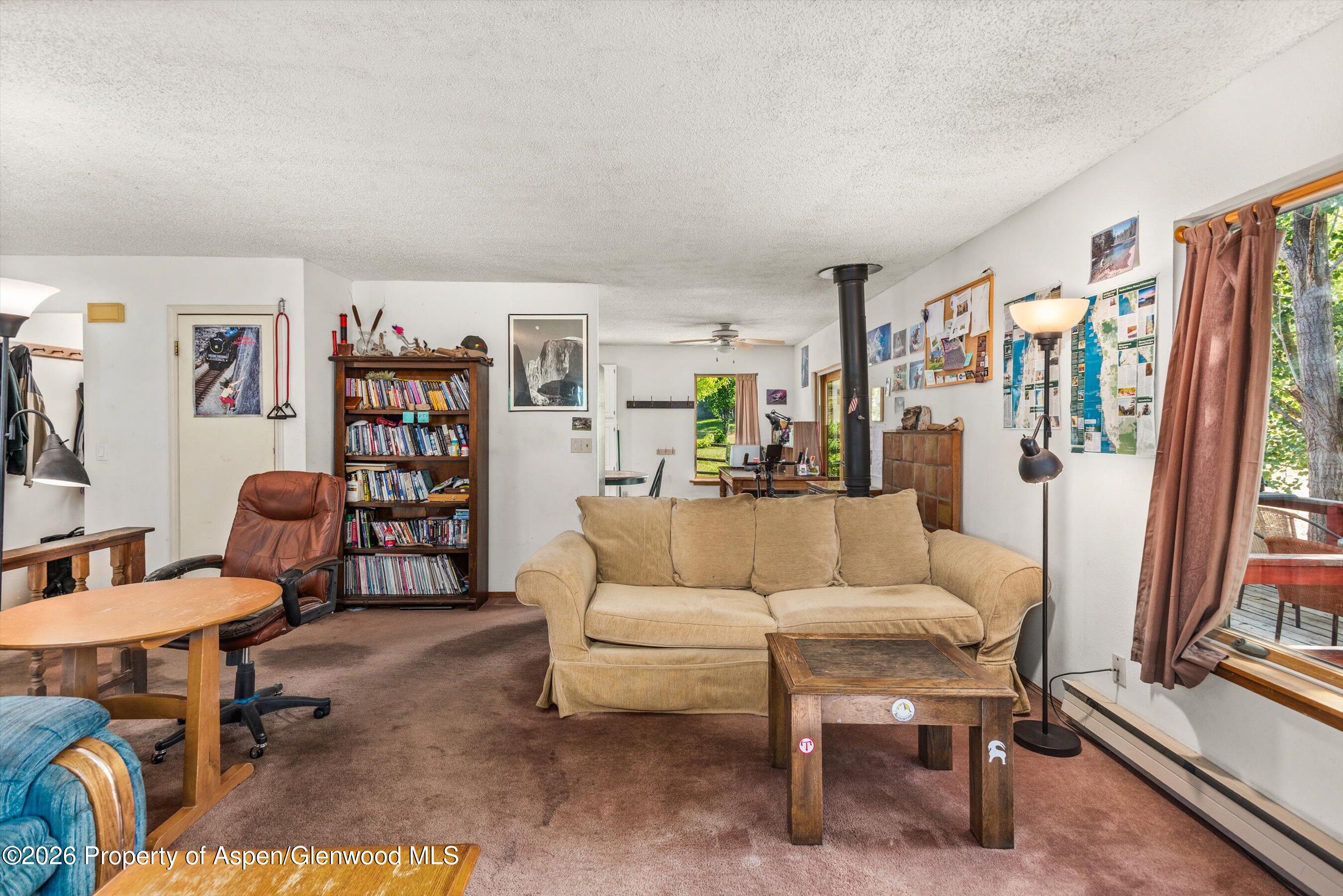 198 Holland Hills Road Basalt, CO 81621 - Photo 16 of 50 a living room with furniture a bookshelf and a window